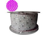 TIRA DE LEDS 2835 120 LEDS/M X 100 METROS 220V VIOLETA