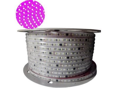 TIRA DE LEDS 2835 120 LEDS/M X 100 METROS 220V VIOLETA