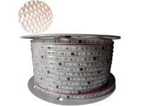 TIRA DE LEDS 2835 120 LEDS/M X 100 METROS 220V BLANCO FRIO TIRA DE LEDS 2835 120 LEDS/M X 100 METROS 220V BLANCO FRIO