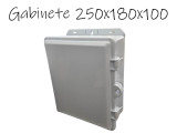 CAJA GABINETE PLASTICO 250 X 180 X 100 MM